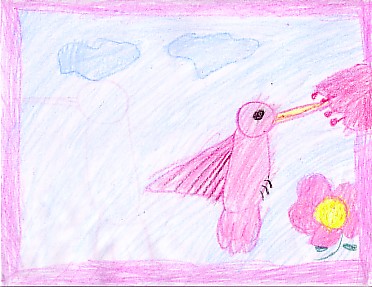 pink hummingbird.jpg